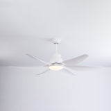 Riviera Curve 54" Smart Ceiling Fan (White, 6 Blades) – Tuya WiFi BLDC Motor LED Dual Light Ceiling Fan