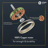 Jazz Art 56" Decorative Ceiling Fan