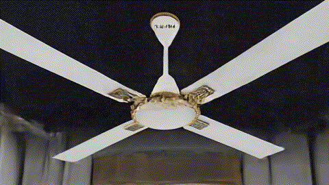 Alpha Cleo 4 Blade Signature Collection Ceiling Fan Golden Eye Ivory 56"/48" (AL-101)