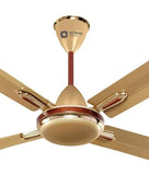 Orient Quadro 56" (Golden Chocolate)