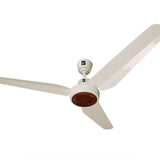 PAK Floral 56 inch Ceiling Fan (Off White, 3 Blades) with copper motor and elegant floral design – Price in Bangladesh